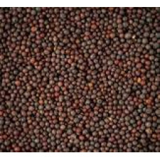 Musturded Seeds