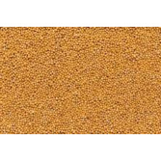 Yellow Mustured Seeds