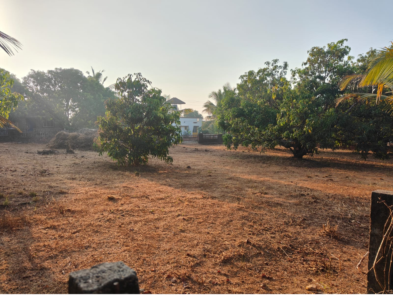 Sorry! Image not available at this time